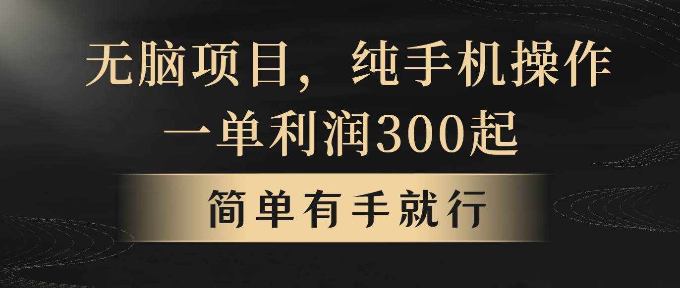 （10699期）无脑项目，一单几百块，轻松月入5w+，看完就能直接操作-泰戈创艺资源库