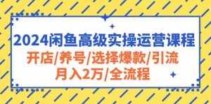 （10711期）2024闲鱼高级实操运营课程：开店/养号/选择爆款/引流/月入2万/全流程-泰戈创艺资源库