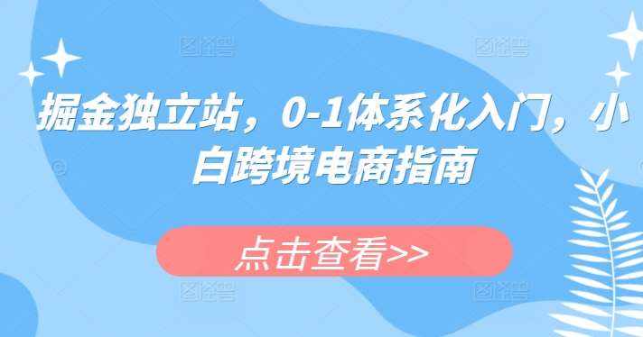 掘金独立站，0-1体系化入门，小白跨境电商指南-泰戈创艺资源库