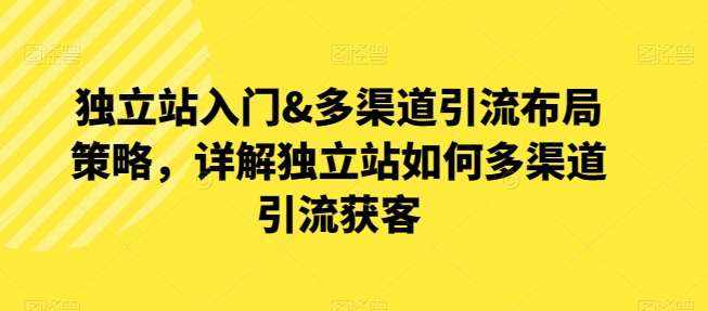 独立站入门&多渠道引流布局策略，详解独立站如何多渠道引流获客-泰戈创艺资源库
