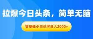 (11077期)拉爆今日头条,简单无脑,零基础小白也可日入2000+-泰戈创艺资源库