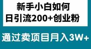 (10843期)新手小白日引流200+创业粉,通过卖项目月入3W+-泰戈创艺资源库