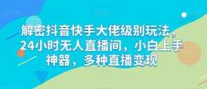 解密抖音快手大佬级别玩法,24小时无人直播间,小白上手神器,多种直播变现【揭秘】-泰戈创艺资源库