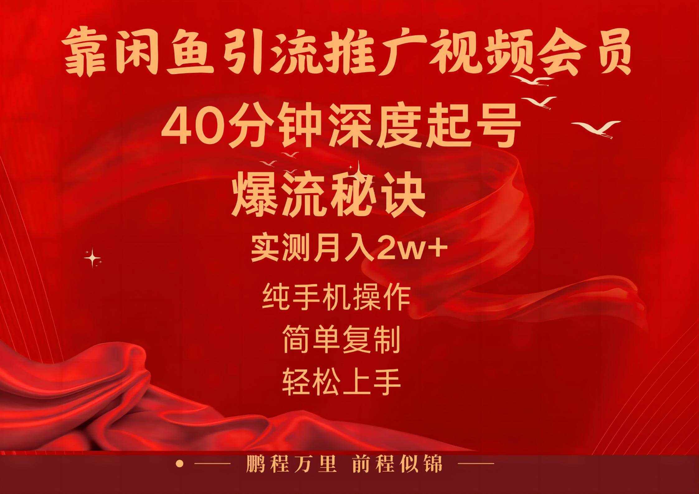 （10896期）闲鱼暴力引流推广视频会员，能做到日入2W+，操作简单-泰戈创艺资源库