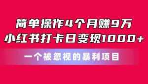 (11048期)简单操作4个月赚9万!小红书打卡日变现1000+!一个被忽视的暴力项目-泰戈创艺资源库