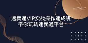 (10935期)速卖通 VIP实战操作-速成班,带你玩转速卖通平台(23节)-泰戈创艺资源库