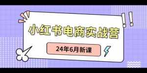 (10984期)小红书电商实战营:小红书笔记带货和无人直播,24年6月新课-泰戈创艺资源库