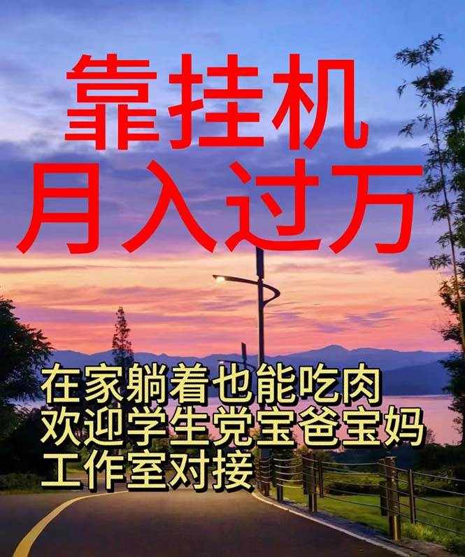 （10838期）靠挂机，日入1000+，躺着也能吃肉，适合宝爸宝妈学生党工作室，电脑手…-泰戈创艺资源库