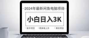(10845期)2024最新闲鱼卖电脑项目,新手小白日入3K+,最真实的项目教学-泰戈创艺资源库
