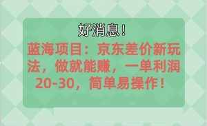 (10989期)越早知道越能赚到钱的蓝海项目:京东大平台操作,一单利润20-30,简单…-泰戈创艺资源库