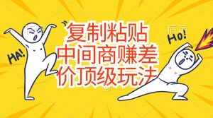 (10918期)复制粘贴,中间商赚差价顶级玩法,零成本,硬通货-泰戈创艺资源库