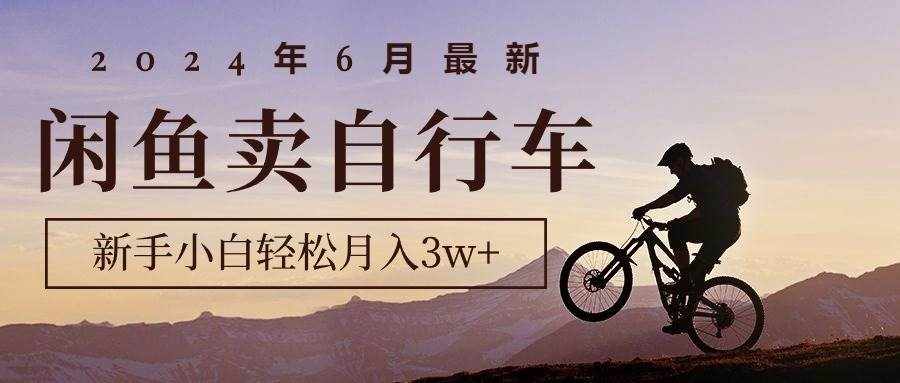 （10915期）2024年6月最新闲鱼卖自行车，新手小白轻松月入3w+项目-泰戈创艺资源库