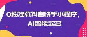 0粉挂载抖音快手小程序，AI智能起名-泰戈创艺资源库