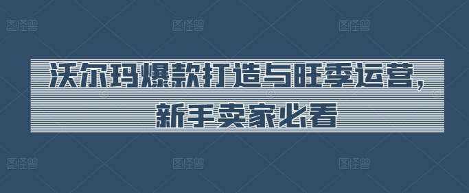 沃尔玛爆款打造与旺季运营，新手卖家必看-泰戈创艺资源库
