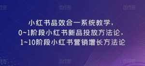 小红书品效合一系统教学,0~1阶段小红书新品投放方法论,1~10阶段小红书营销增长方法论-泰戈创艺资源库