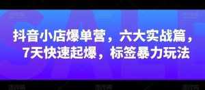 抖音小店爆单营，六大实战篇，7天快速起爆，标签暴力玩法-泰戈创艺资源库