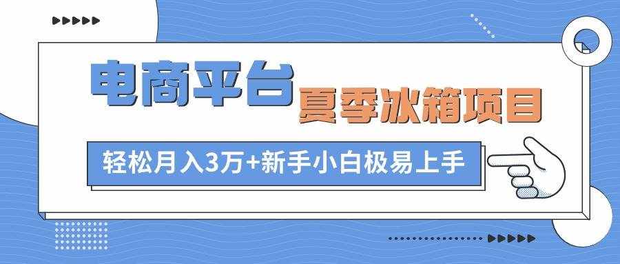 （10934期）电商平台夏季冰箱项目，轻松月入3万+，新手小白极易上手-泰戈创艺资源库