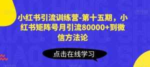 小红书引流训练营-第十五期,小红书矩阵号月引流80000+到微信方法论-泰戈创艺资源库