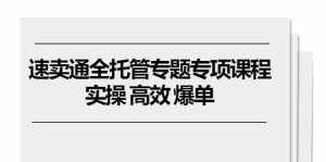 (10917期)速卖通 全托管专题专项课程,实操 高效 爆单(11节课)-泰戈创艺资源库