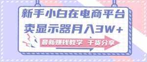 (11053期)新手小白如何做到在电商平台卖显示器月入3W+,最新赚钱教学干货分享-泰戈创艺资源库