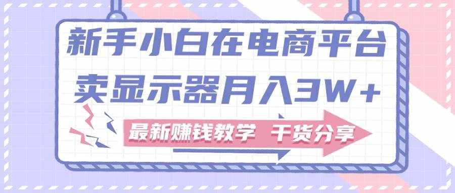 （11053期）新手小白如何做到在电商平台卖显示器月入3W+，最新赚钱教学干货分享-泰戈创艺资源库