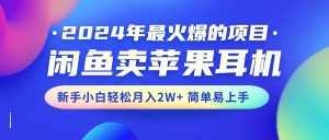 （10863期）2024年最火爆的项目，闲鱼卖苹果耳机，新手小白轻松月入2W+简单易上手-泰戈创艺资源库