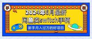 （10831期）2024年6月最新闲鱼卖switch游戏手柄，新手月入过万的第一个好项目-泰戈创艺资源库
