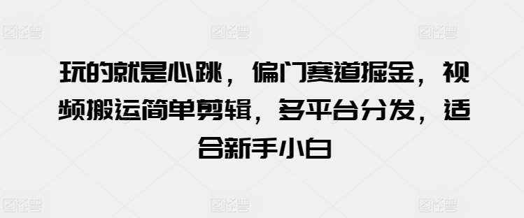玩的就是心跳，偏门赛道掘金，视频搬运简单剪辑，多平台分发，适合新手小白【揭秘】-泰戈创艺资源库
