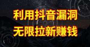 利用抖音链接漏洞，无限拉新赚钱【漏洞原理+操作流程】【揭秘】-泰戈创艺资源库