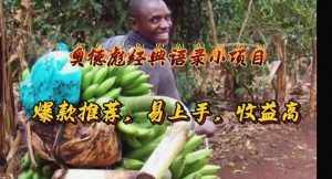 (11030期)奥德彪经典语录小项目,爆款推荐,易上手,收益高-泰戈创艺资源库