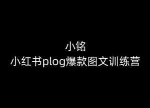小铭-小红书plog爆款图文训练营,教你从0-1做小红书-泰戈创艺资源库