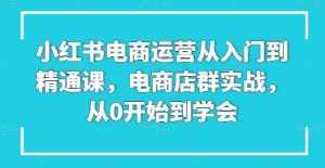 小红书电商运营从入门到精通课，电商店群实战，从0开始到学会-泰戈创艺资源库