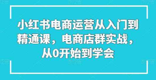 小红书电商运营从入门到精通课，电商店群实战，从0开始到学会-泰戈创艺资源库