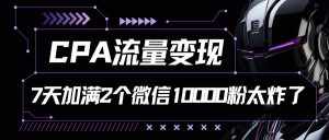 CPA流量变现，7天加满两个微信10000粉-泰戈创艺资源库