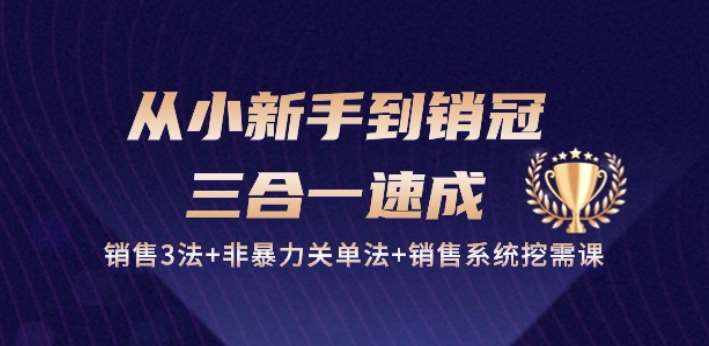 从小新手到销冠 三合一速成:销售3法+非暴力关单法+销售系统挖需课 (27节)-泰戈创艺资源库