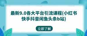 最新9.0各大平台引流课程(小红书快手抖音闲鱼头条b站)-泰戈创艺资源库