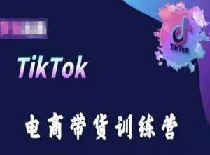 TikTok电商带货训练营，跟随时代潮流，跨境掘金-泰戈创艺资源库