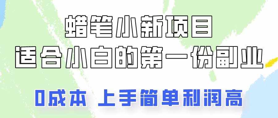 蜡笔小新项目拆解，0投入，0成本，小白一个月也能多赚3000+-泰戈创艺资源库