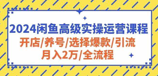 2024闲鱼高级实操运营课程：开店/养号/选择爆款/引流/月入2万/全流程-泰戈创艺资源库