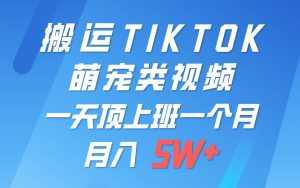一键搬运TIKTOK萌宠类视频,一部手机即可操作,所有平台均可发布 轻松月入5W+-泰戈创艺资源库