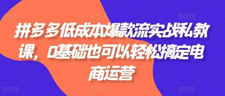 拼多多低成本爆款流实战私教课，0基础也可以轻松搞定电商运营-泰戈创艺资源库