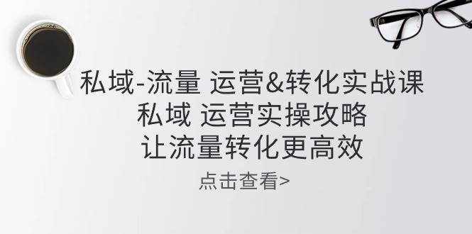 私域流量运营&转化实操课：私域运营实操攻略，让流量转化更高效-泰戈创艺资源库