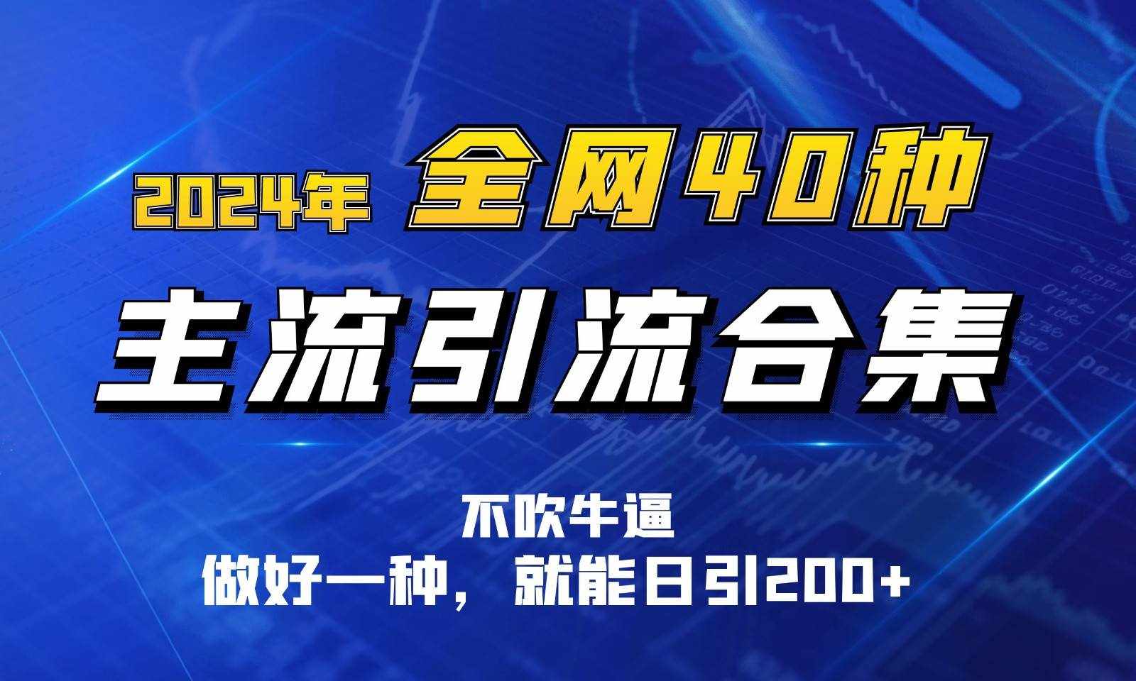 2024年全网40种暴力引流合计，做好一样就能日引100+-泰戈创艺资源库