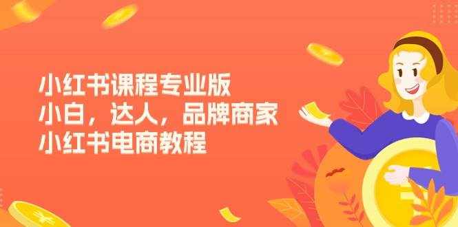 小红书课程专业版，小白，达人，品牌商家，小红书电商教程（15节）-泰戈创艺资源库
