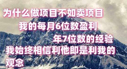 做项目不如卖项目，每月6位数盈利，年7位数经验-泰戈创艺资源库