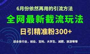 2024全网最新截留玩法，每日引流突破300+-泰戈创艺资源库