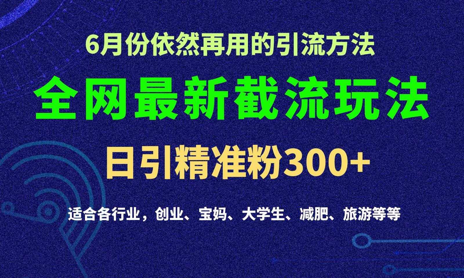 2024全网最新截留玩法，每日引流突破300+-泰戈创艺资源库