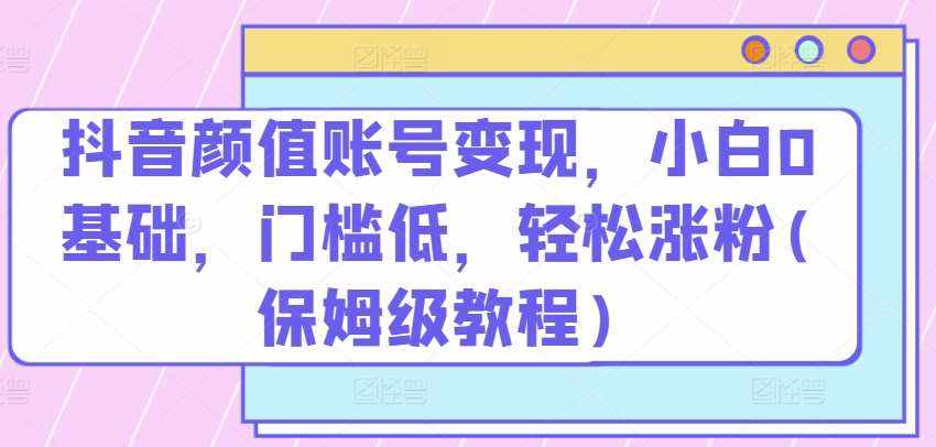 抖音颜值账号变现,小白0基础,门槛低,轻松涨粉(保姆级教程)【揭秘】-泰戈创艺资源库