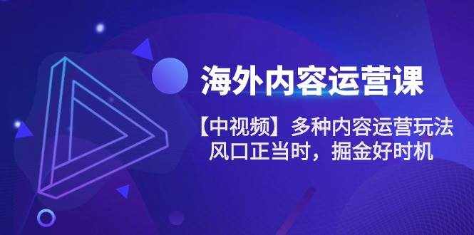 海外内容运营课【中视频】多种内容运营玩法 风口正当时 掘金好时机（101节）-泰戈创艺资源库