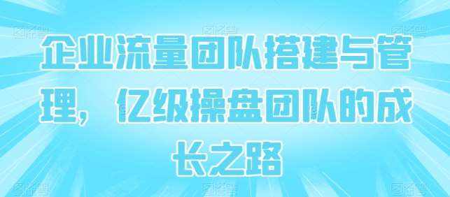 企业流量团队搭建与管理,亿级操盘团队的成长之路-泰戈创艺资源库
